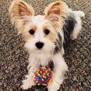 Meet your Posher, Jennifer